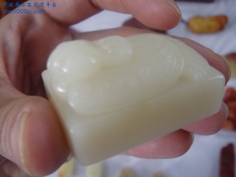 DSC00184_调整大小.JPG