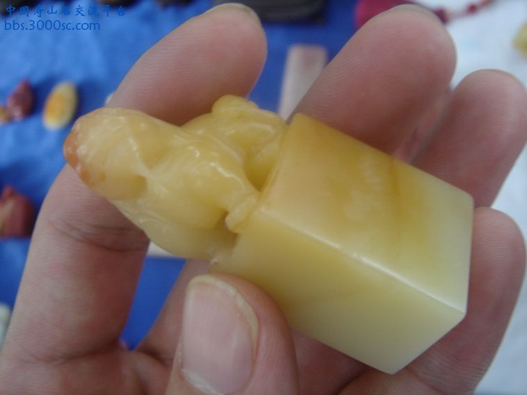 DSC00186_调整大小.JPG