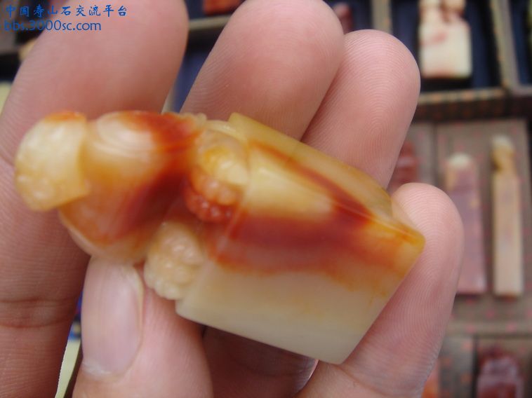 DSC00145_调整大小.JPG