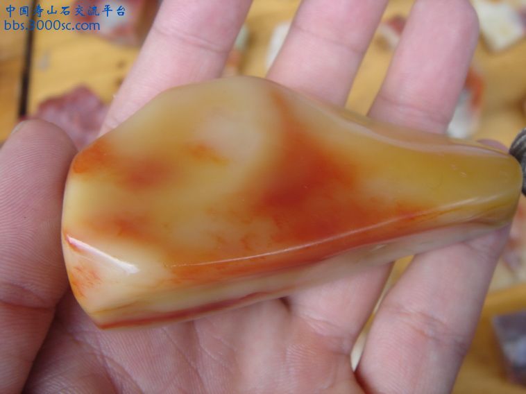 DSC00154_调整大小.JPG