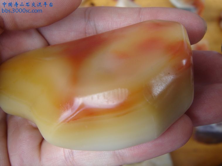 DSC00155_调整大小.JPG