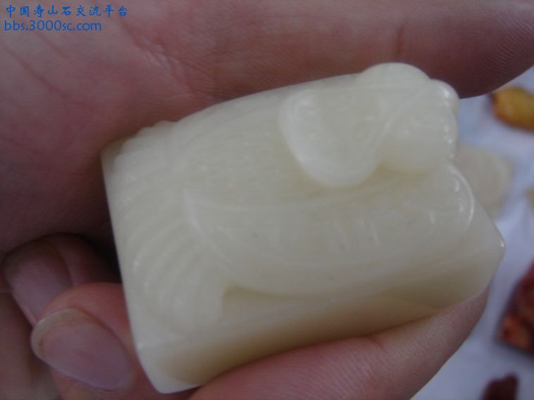 DSC00185_调整大小.JPG