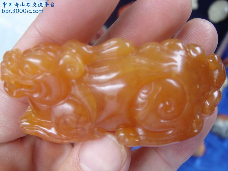 DSC00179_调整大小.JPG