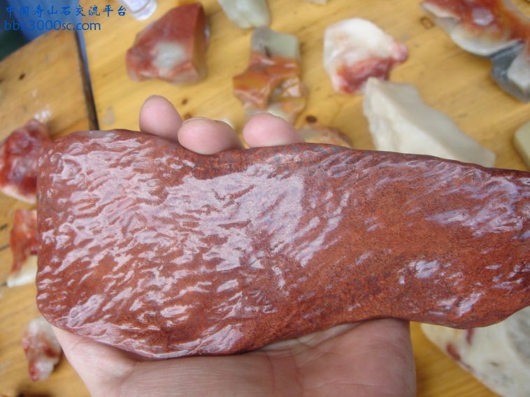 DSC00157_调整大小.JPG