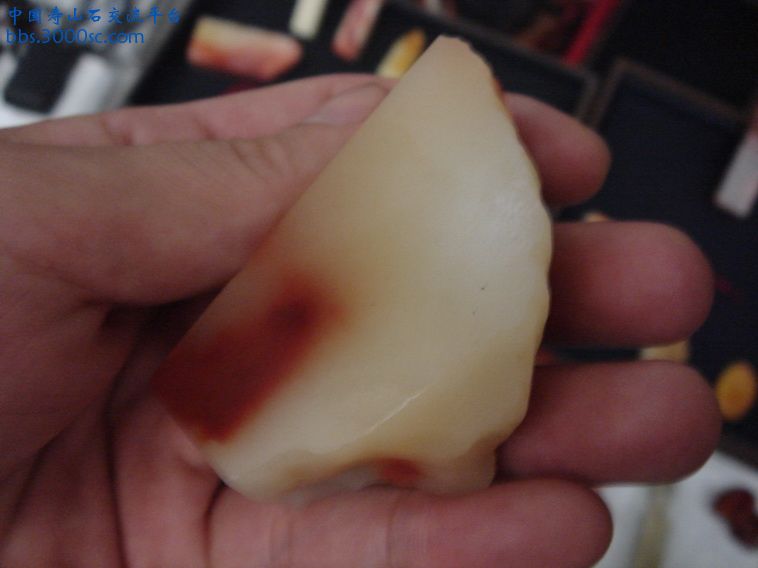 DSC00371_调整大小.JPG