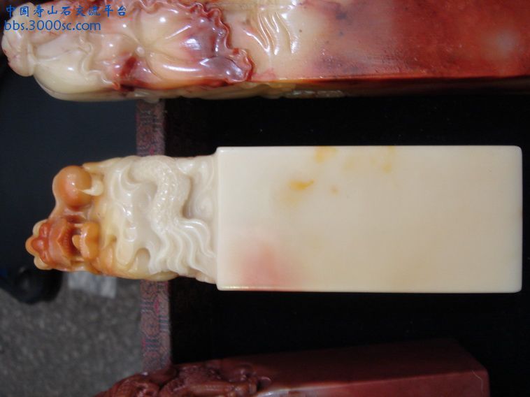 DSC00423_调整大小.JPG