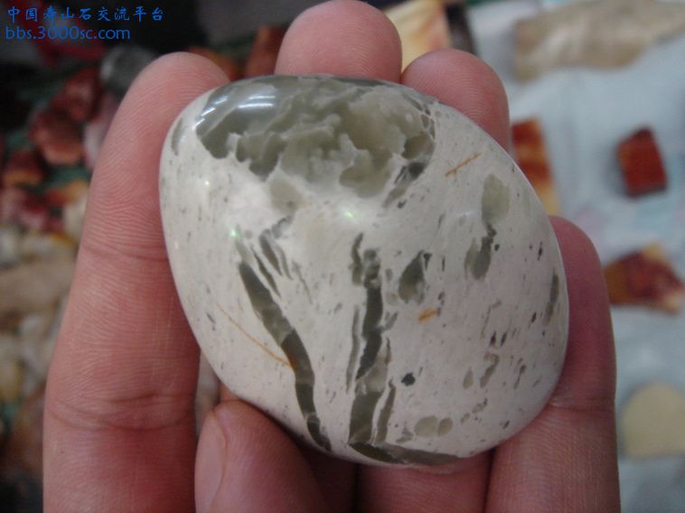 DSC00399_调整大小.JPG