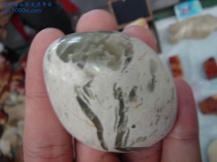 DSC00398_调整大小.JPG