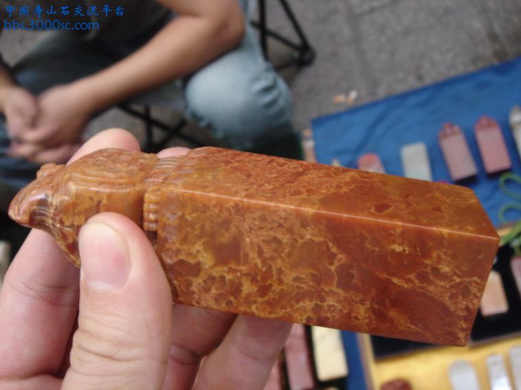 DSC00412_调整大小.JPG