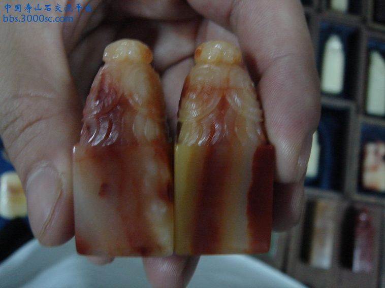 DSC00378_调整大小.JPG