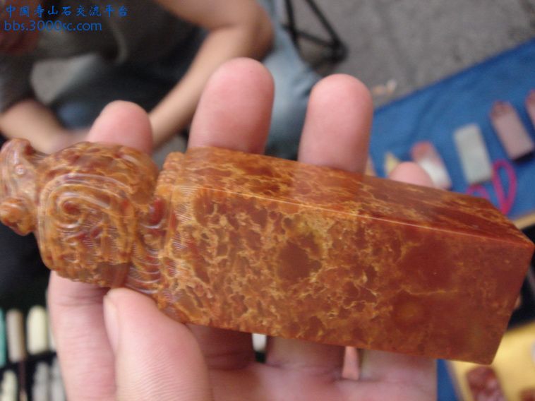 DSC00411_调整大小.JPG