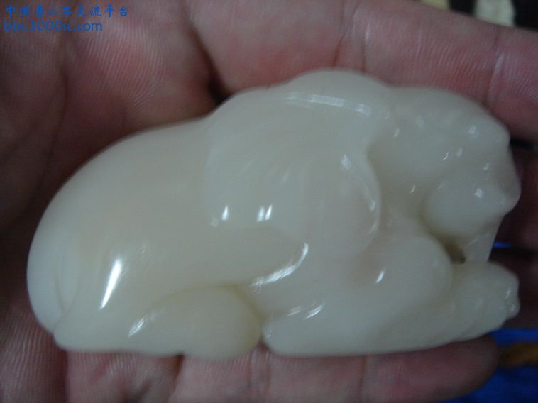 DSC00373_调整大小.JPG