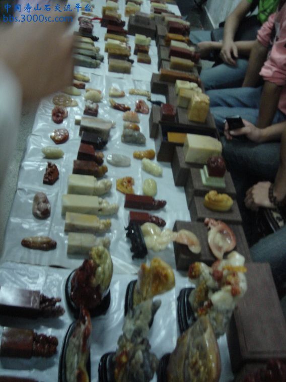 DSC00630_调整大小.jpg