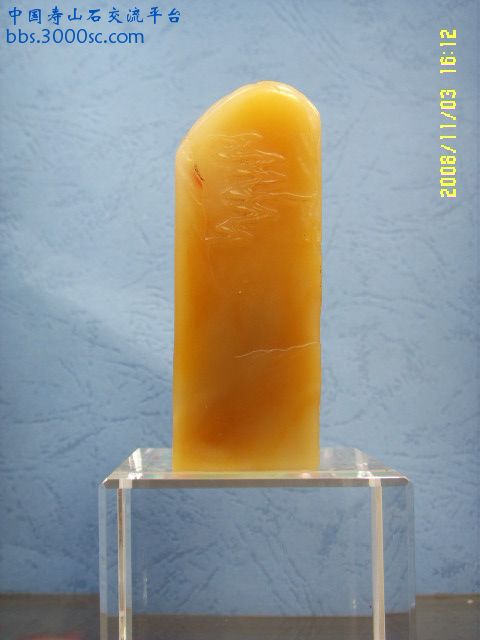SSL13796.JPG