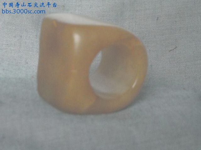 DSCN0213.JPG