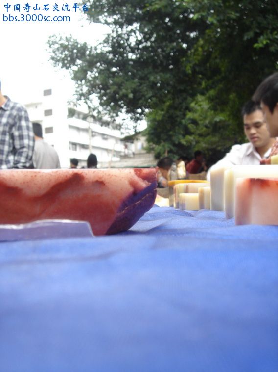 DSC00947_调整大小.jpg