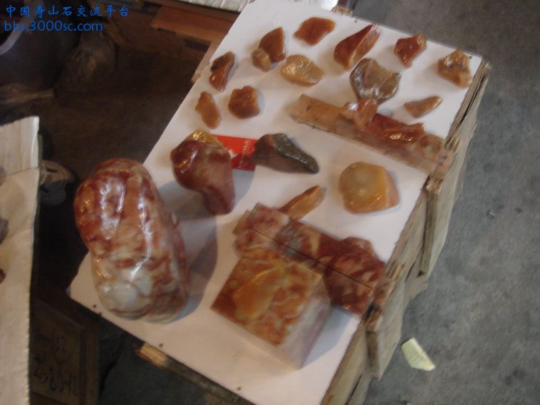 DSC00976_调整大小.JPG