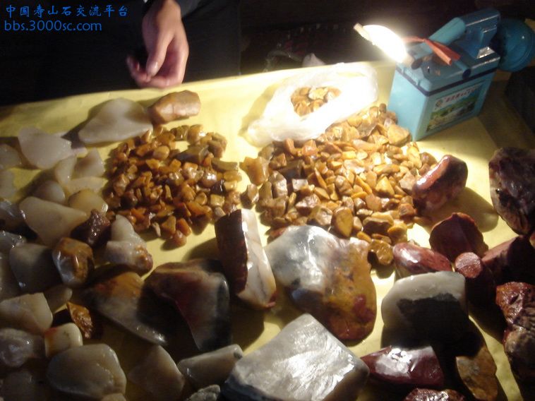 DSC00975_调整大小.JPG