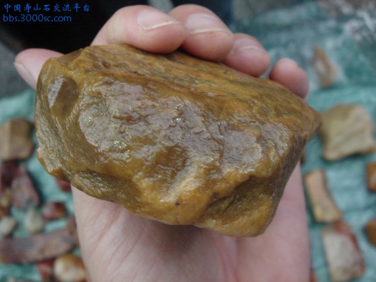 DSC01055_调整大小.JPG