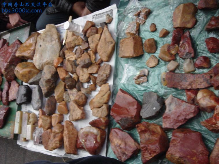 DSC01052_调整大小.JPG