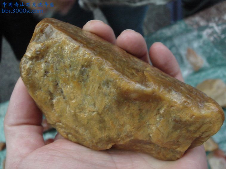DSC01054_调整大小.JPG
