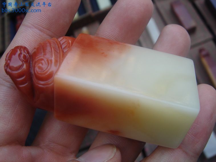DSC01152_调整大小.JPG