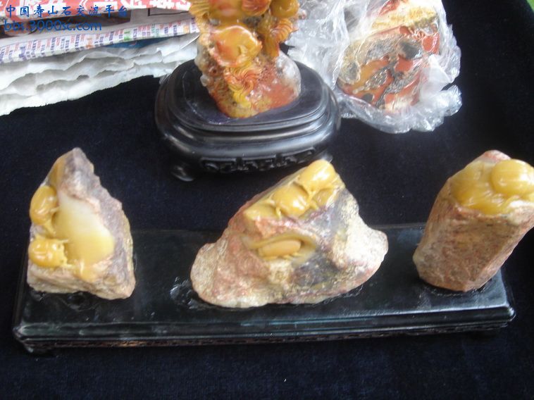 DSC01144_调整大小.JPG