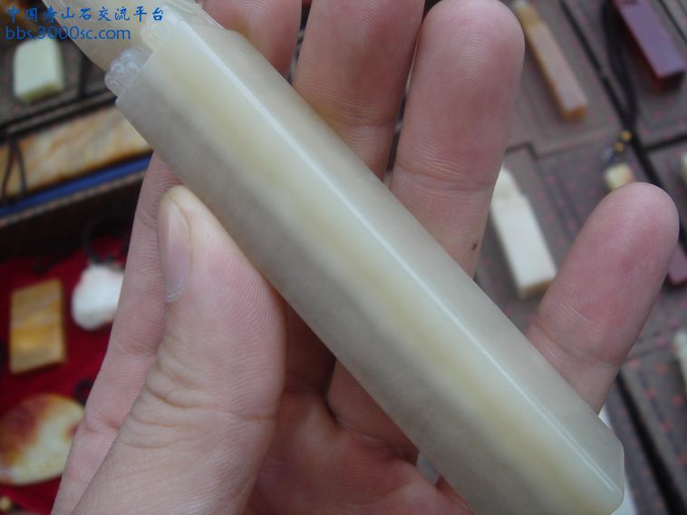 DSC01155_调整大小.JPG