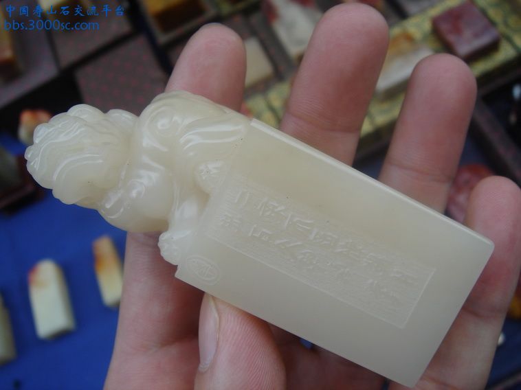 DSC01158_调整大小.JPG