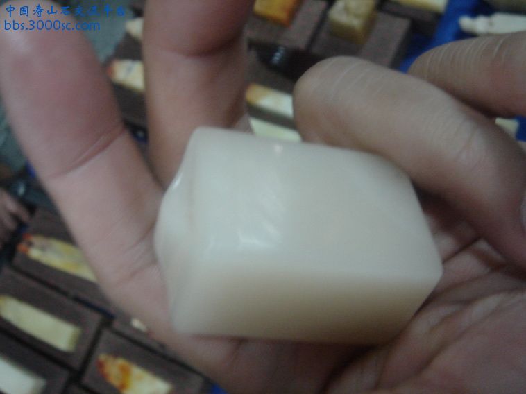 DSC01086_调整大小.JPG