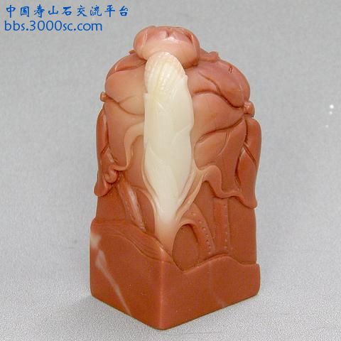 无标题8.JPG