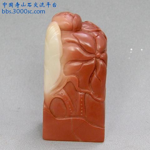 无标题9.JPG