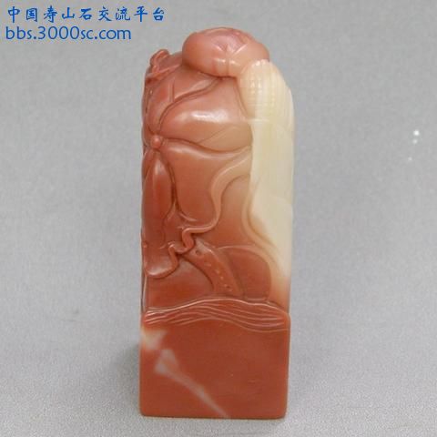 无标题10.JPG