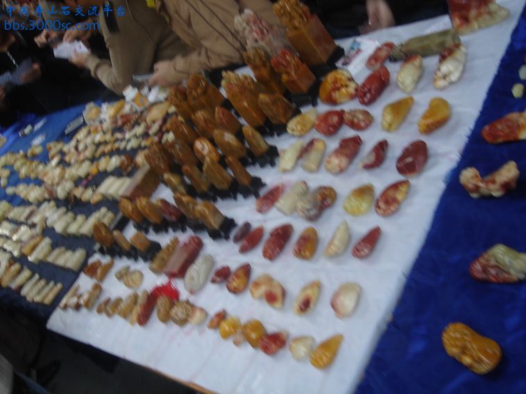 DSC01182_调整大小.JPG