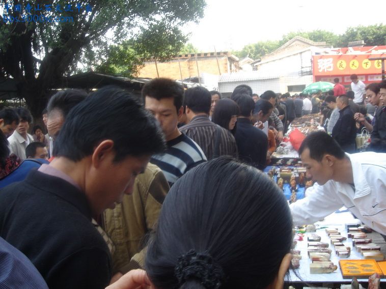 DSC01228_调整大小.JPG