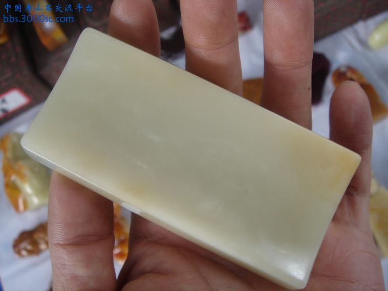 DSC01216_调整大小.JPG
