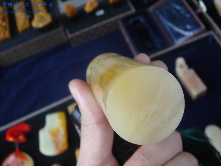 DSC01219_调整大小.JPG
