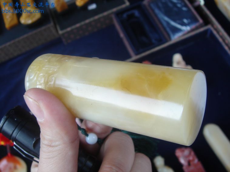 DSC01218_调整大小.JPG