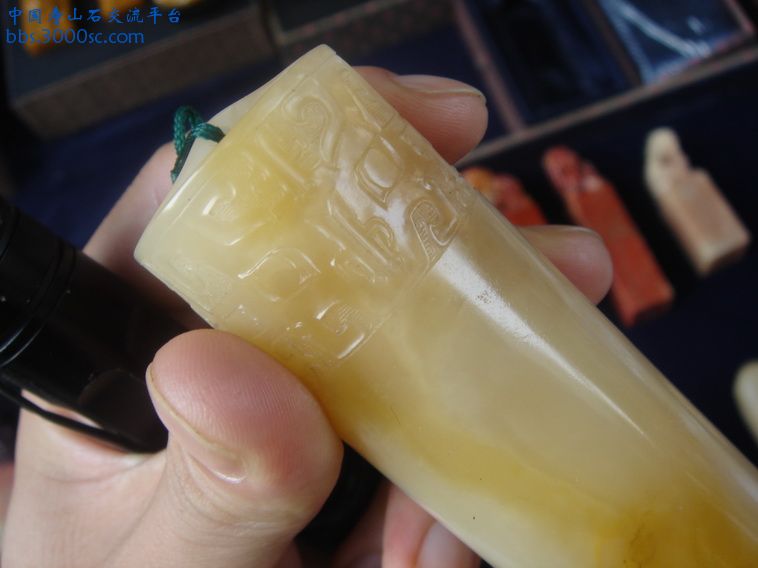DSC01220_调整大小.JPG