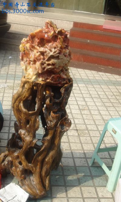 DSC01234_调整大小.jpg