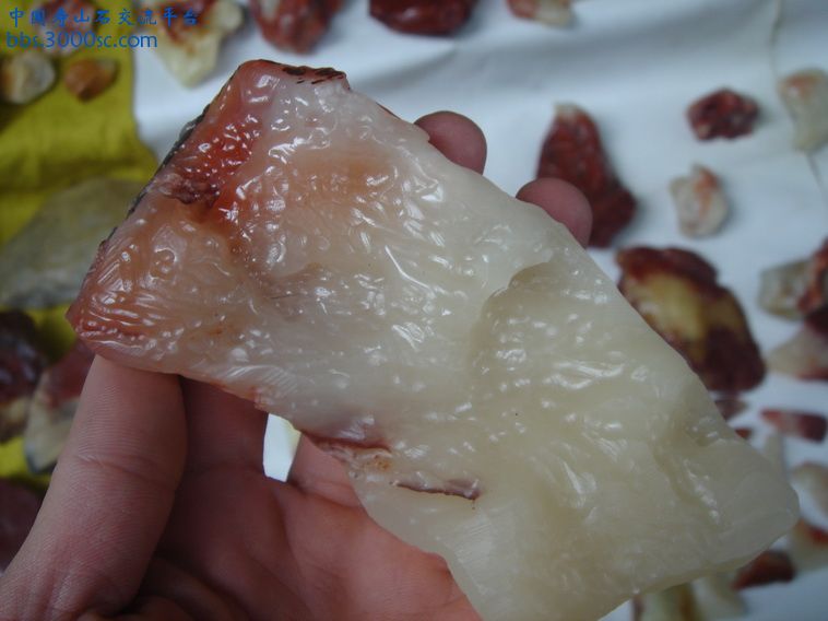 DSC01260_调整大小.JPG