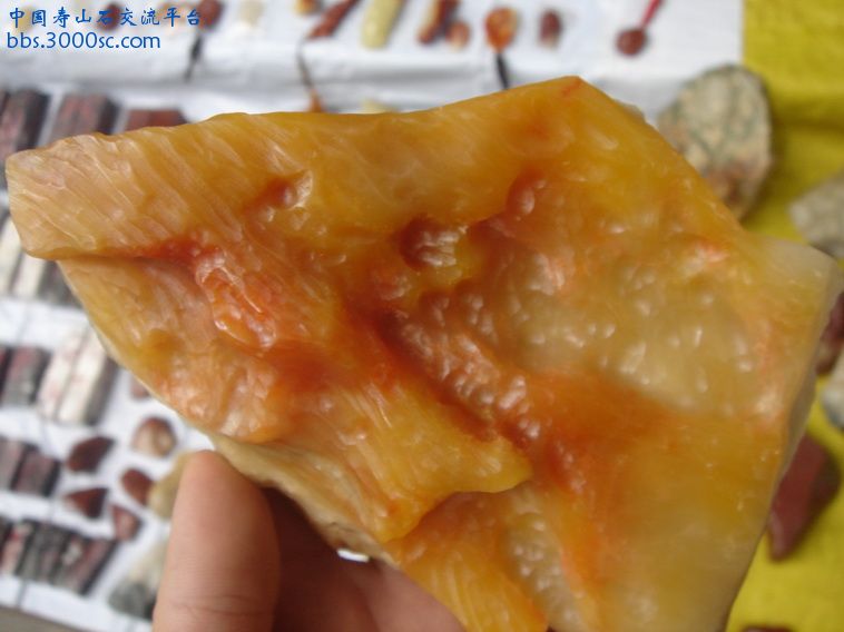 DSC01257_调整大小.JPG