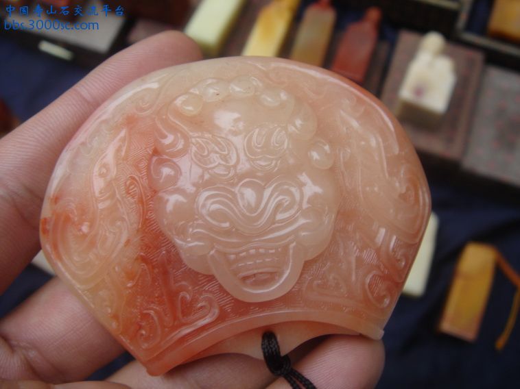 DSC01391_调整大小.JPG