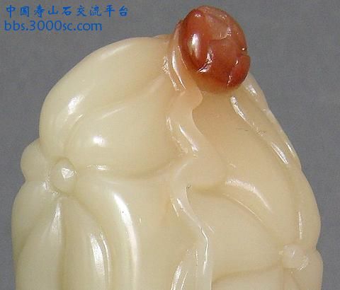无标题7.JPG