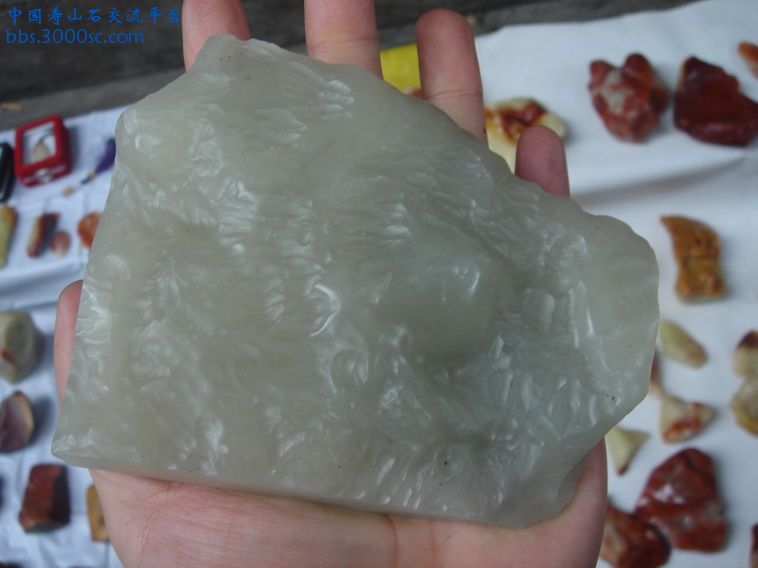 DSC01273_调整大小.JPG