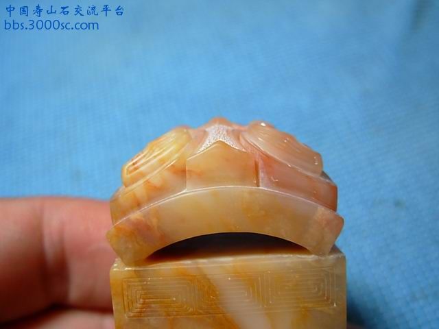 调整大小 DSCN5563.JPG