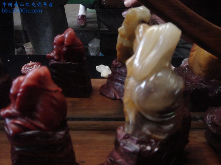 DSC01334_调整大小.JPG
