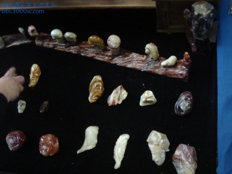 DSC01330_调整大小.JPG