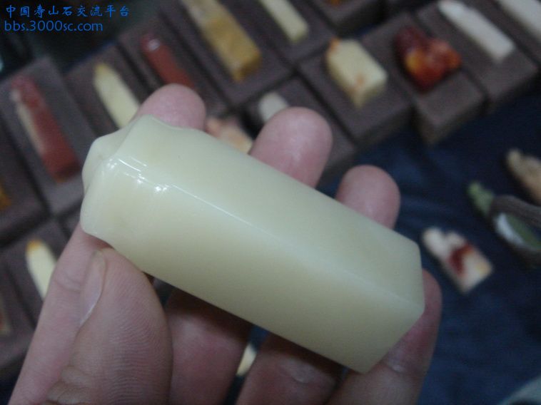 DSC01344_调整大小.JPG