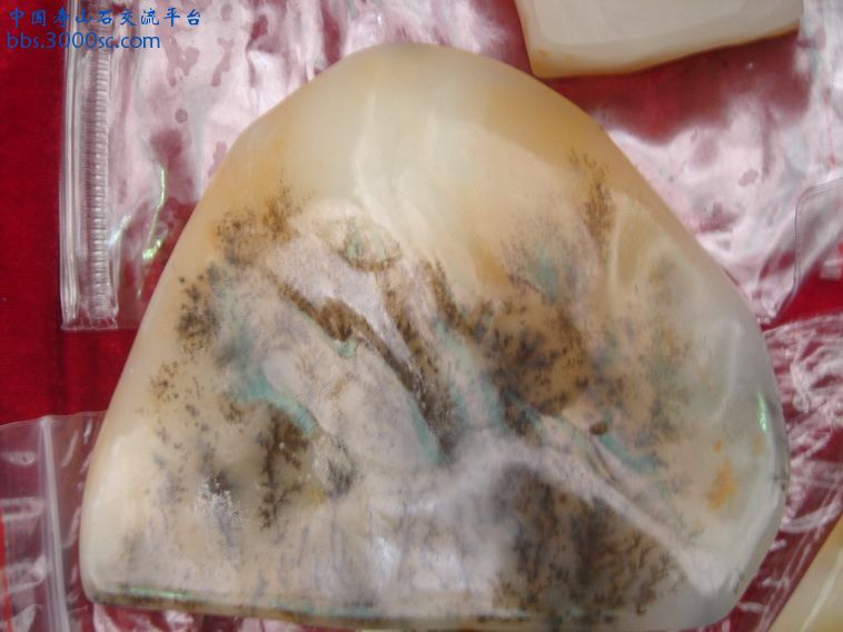DSC01316_调整大小.JPG